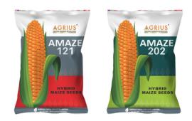Maize